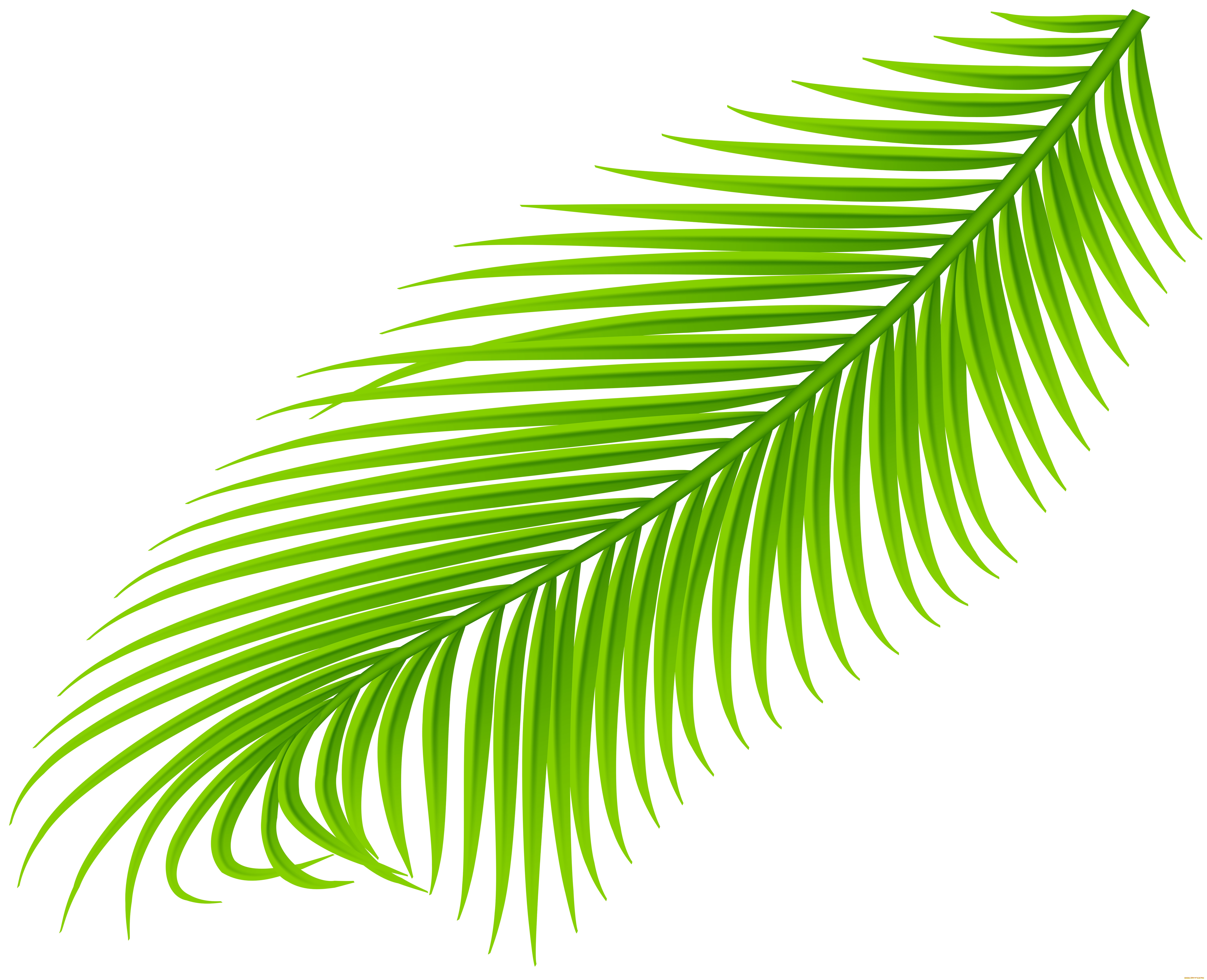  ,  , nature, , , 